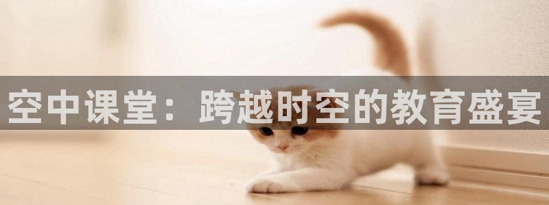 上海五星体育频道节目表预告：空中课堂：跨越时空的教育盛宴