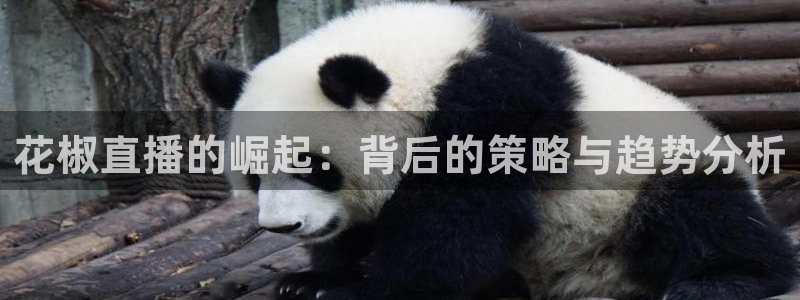 手机如何看五星体育频道：花椒直播的崛起：背后的策略与趋势分析