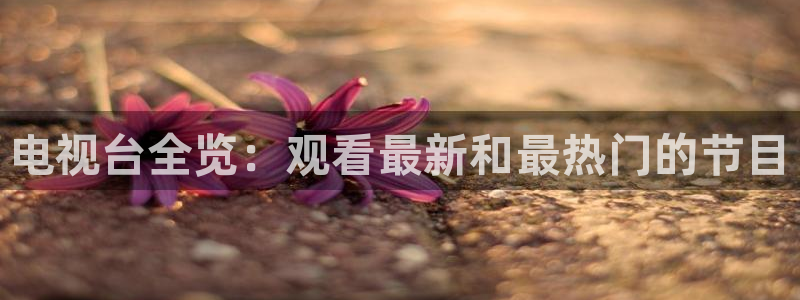 上海五星体育直播：电视台全览：观看最新和最热门的节目